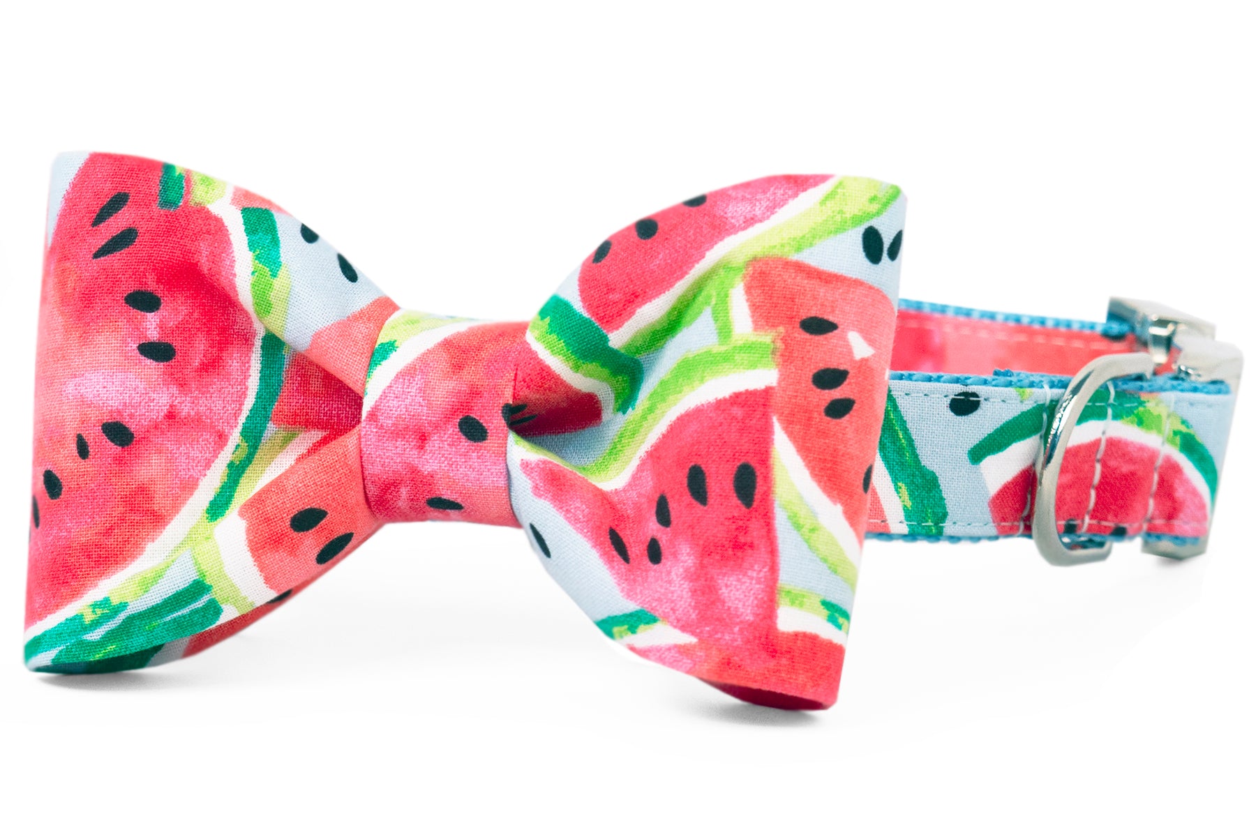 A dog collar with an attached matching fabric bow tie, both featuring a vibrant watermelon slice print in shades of red, green, white, and black on a light blue background. The collar includes silver metal hardware, such as a D-ring and buckle.