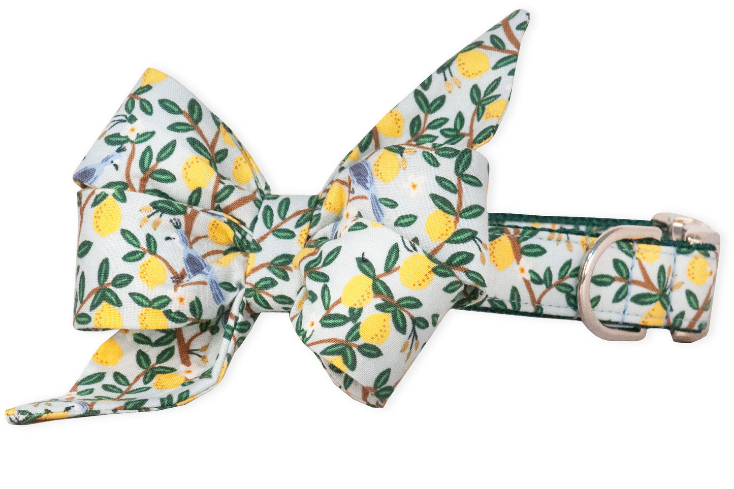 Lovely Lemon Belle Bow Dog Collar - Two Styles - Crew LaLa