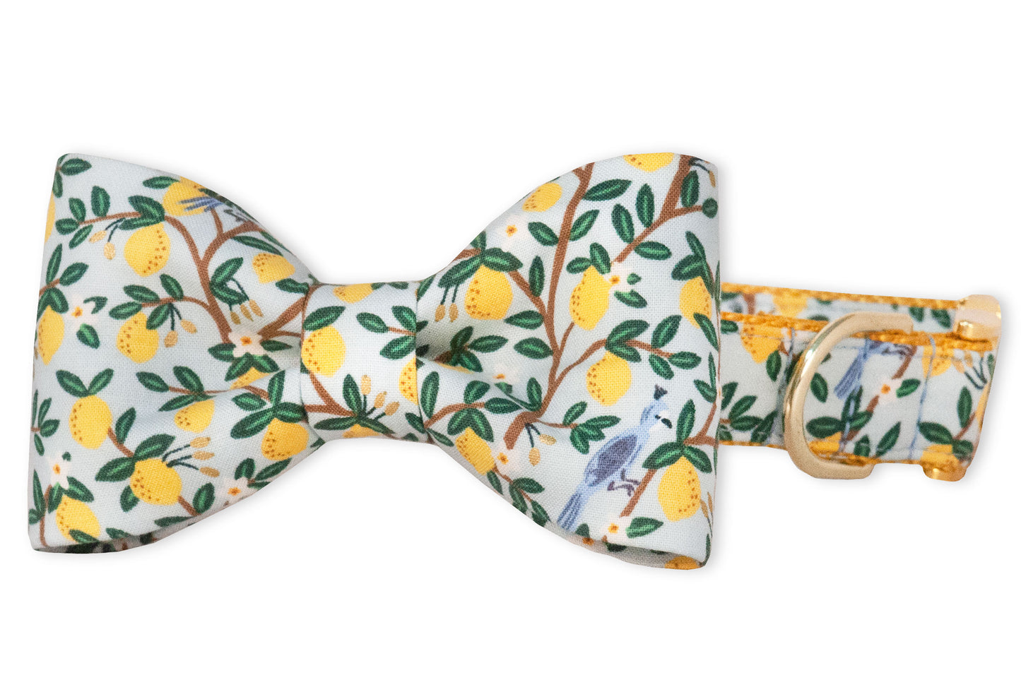 Lovely Lemon Bow Tie Dog Collar - Two Styles - Crew LaLa