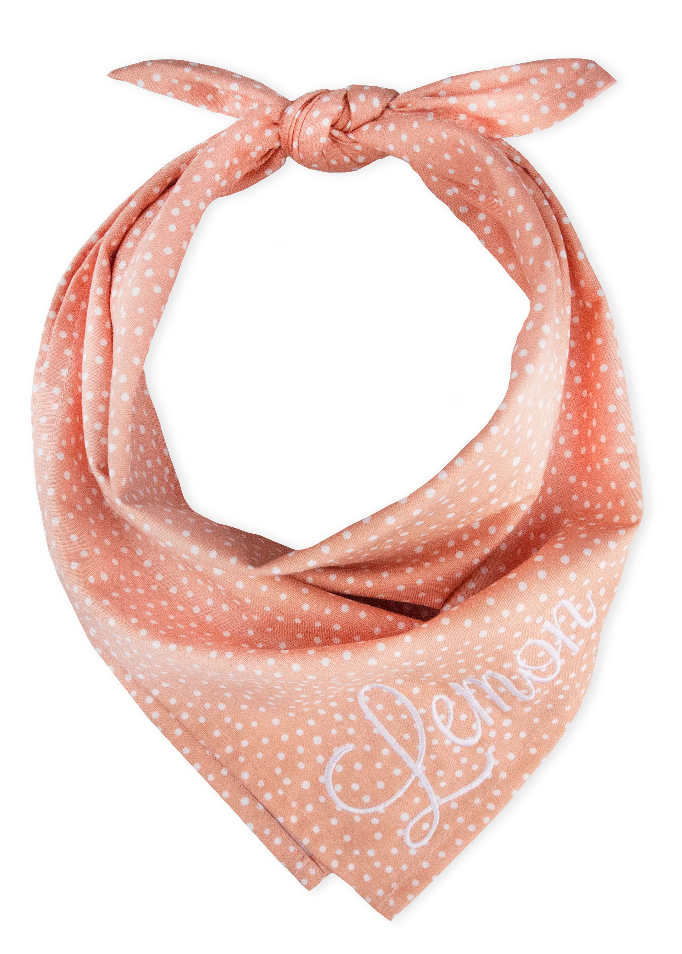 Sorbet Spots Dog Bandana - Crew LaLa