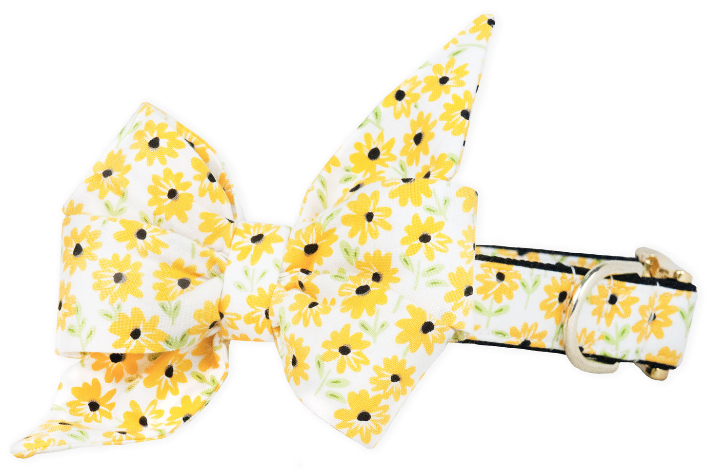 Drew's Daisies Belle Bow Dog Collar - Crew LaLa