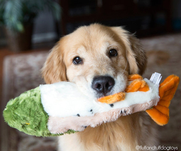 Fluff & Tuff™ "Ruby the Rainbow Trout" Dog Toy - Crew LaLa