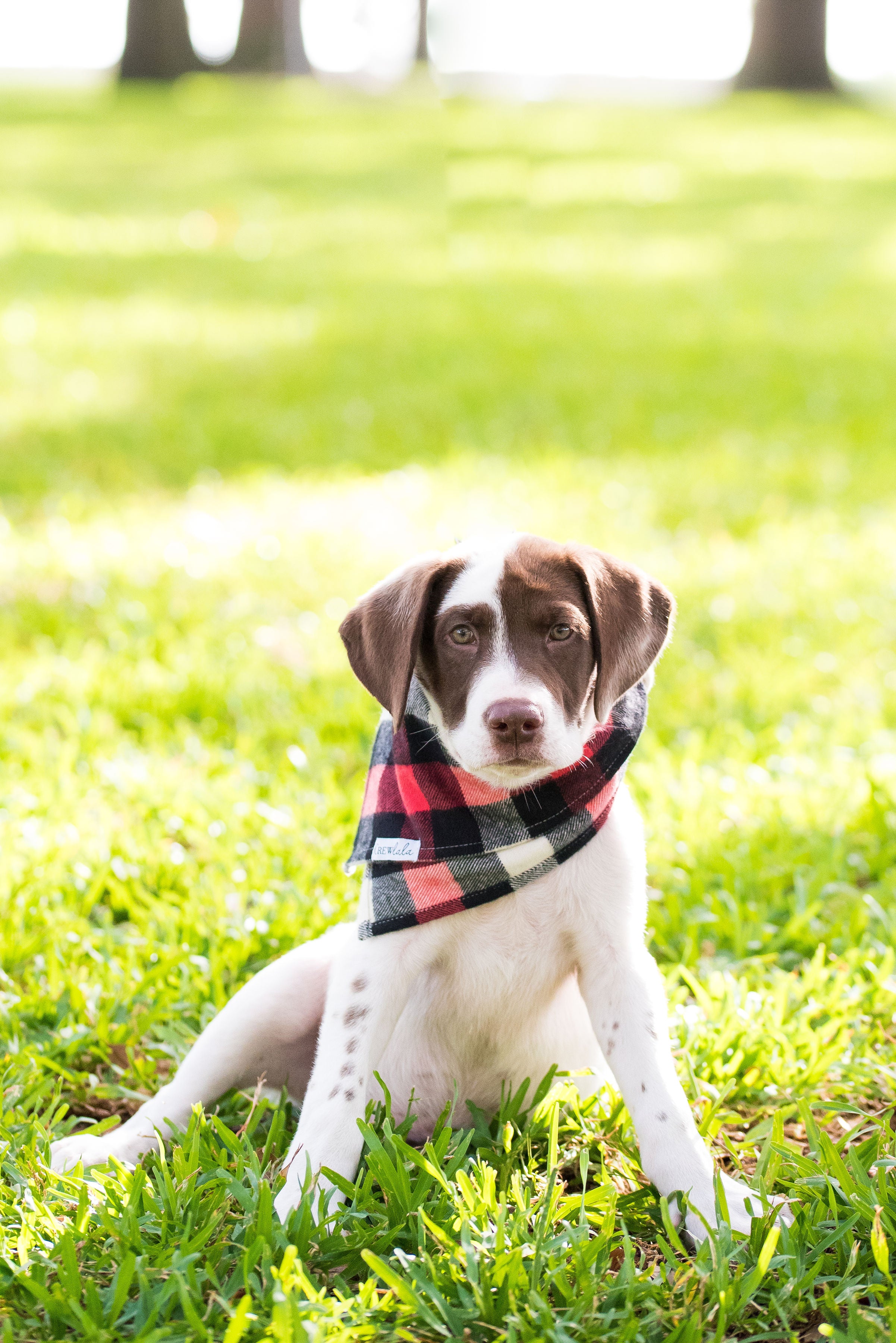 Red, White & Black Buffalo Flannel Plaid Bandana - Crew LaLa