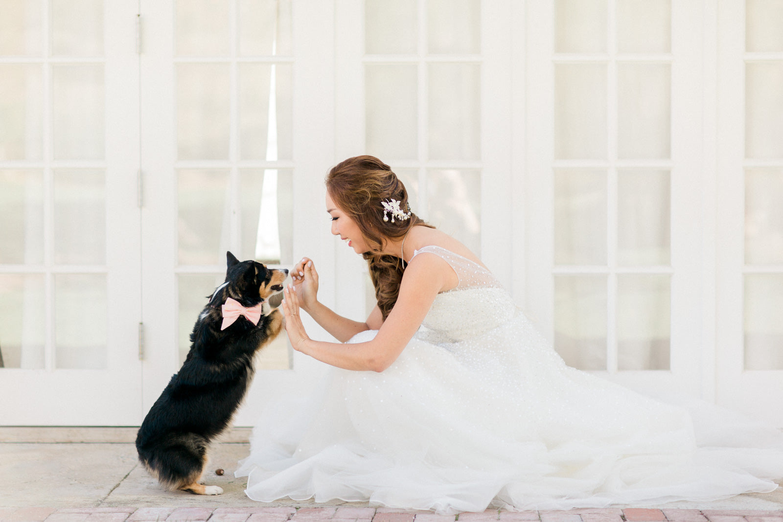 A joyful bride in a white dress kneels to high-five her small black and tan dog, dressed in a Crew LaLa pink bow tie, against a backdrop of sunlit glass doors.
