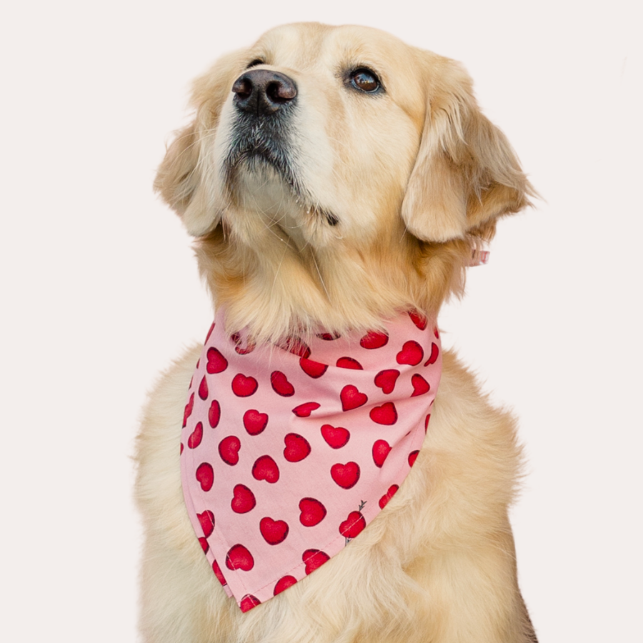 Valentine's Bandanas