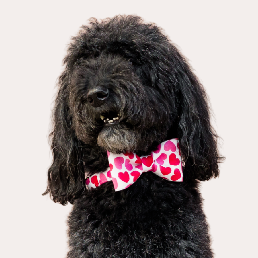Valentines Single Bow Ties