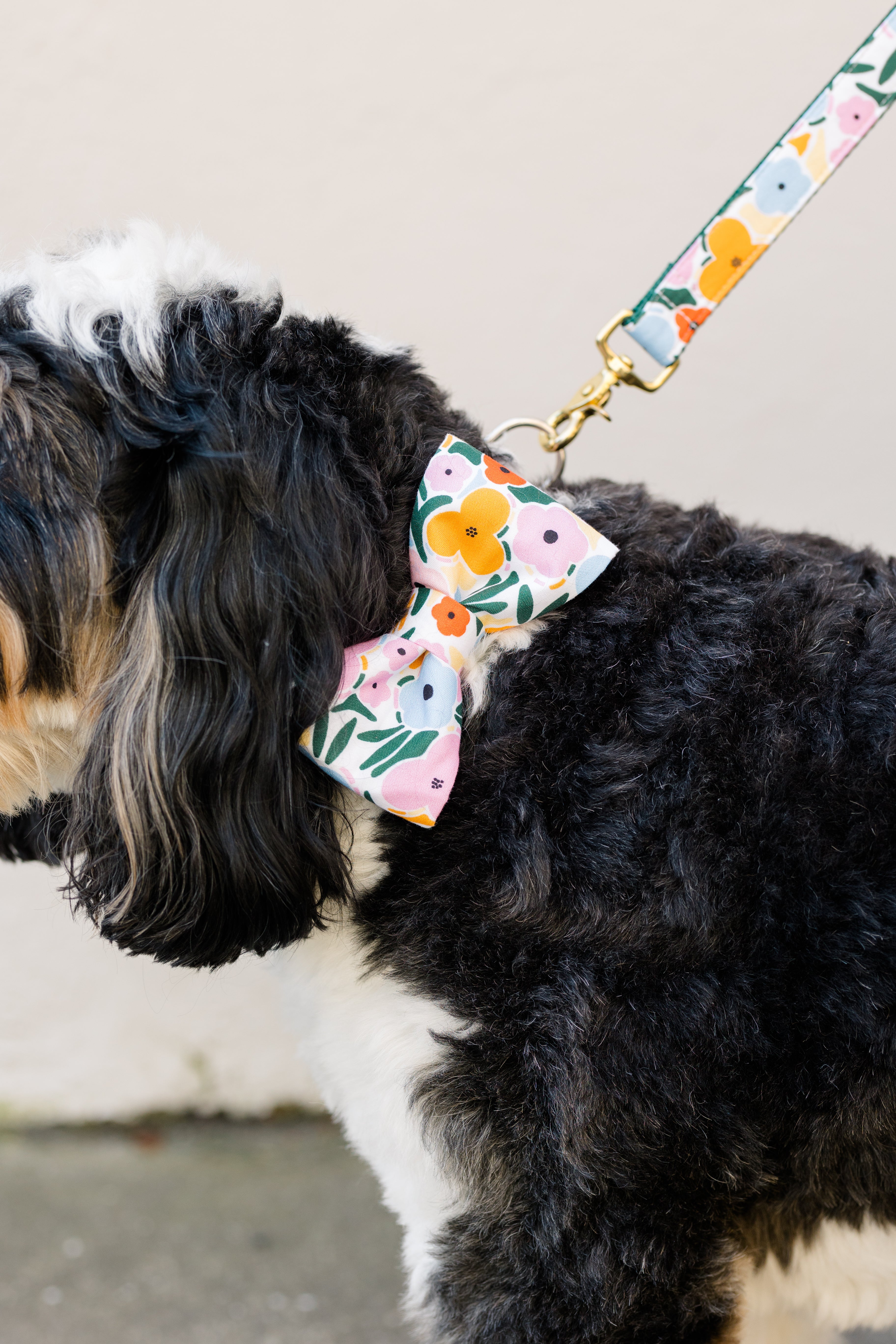 Floral Bow Tie Dog Collars
