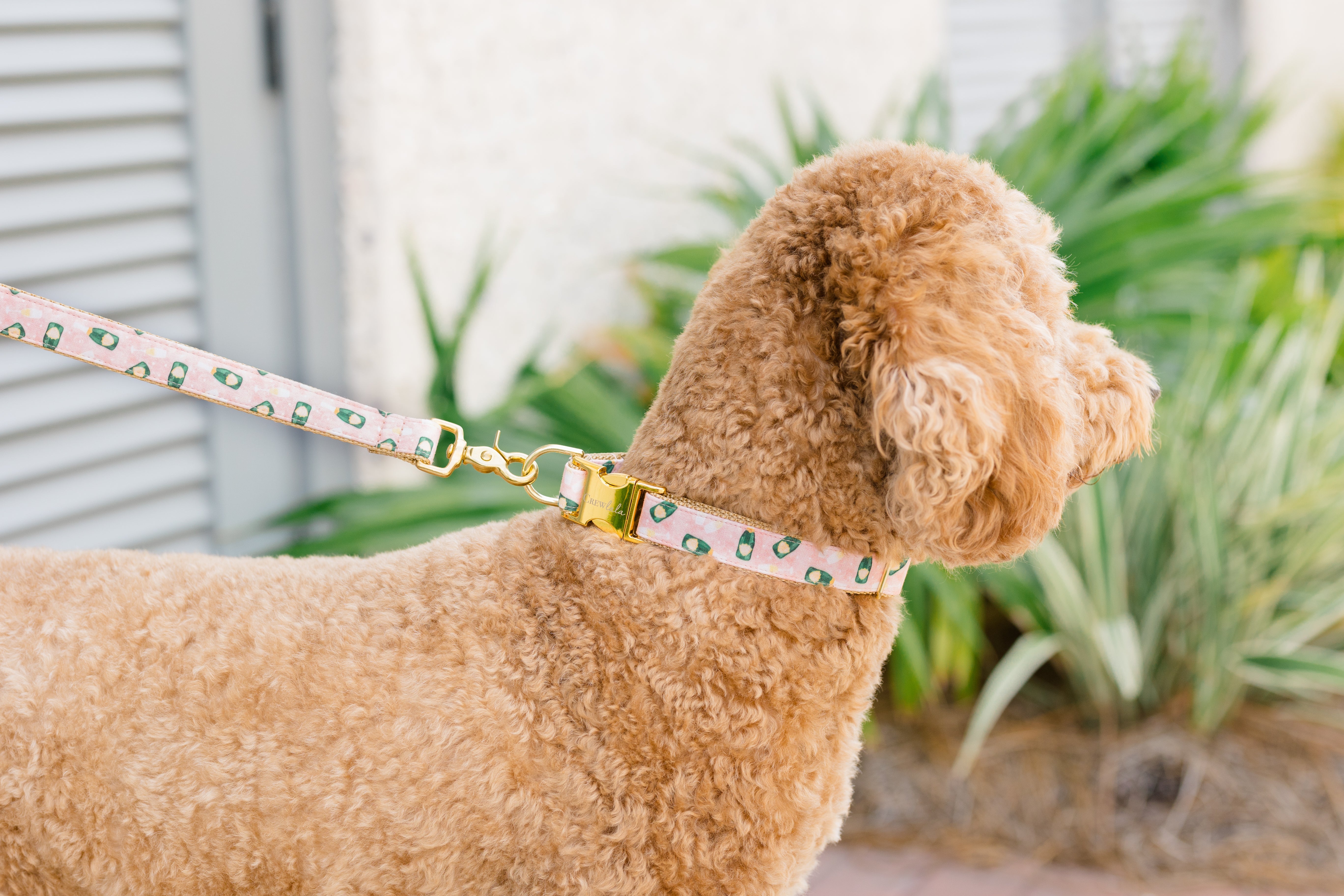 NYE Collars