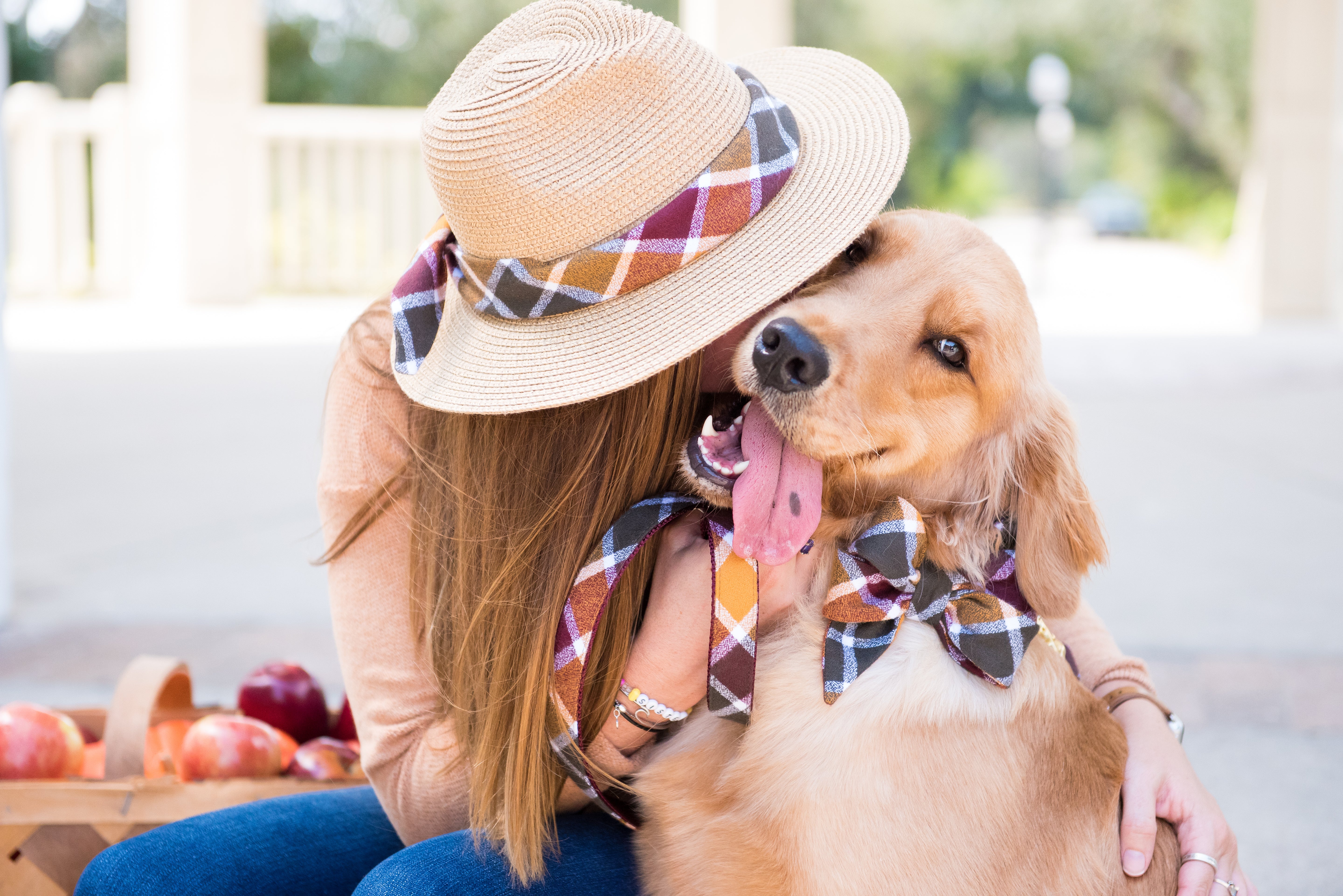 Plaid & Flannel Belle Bow Dog Collars