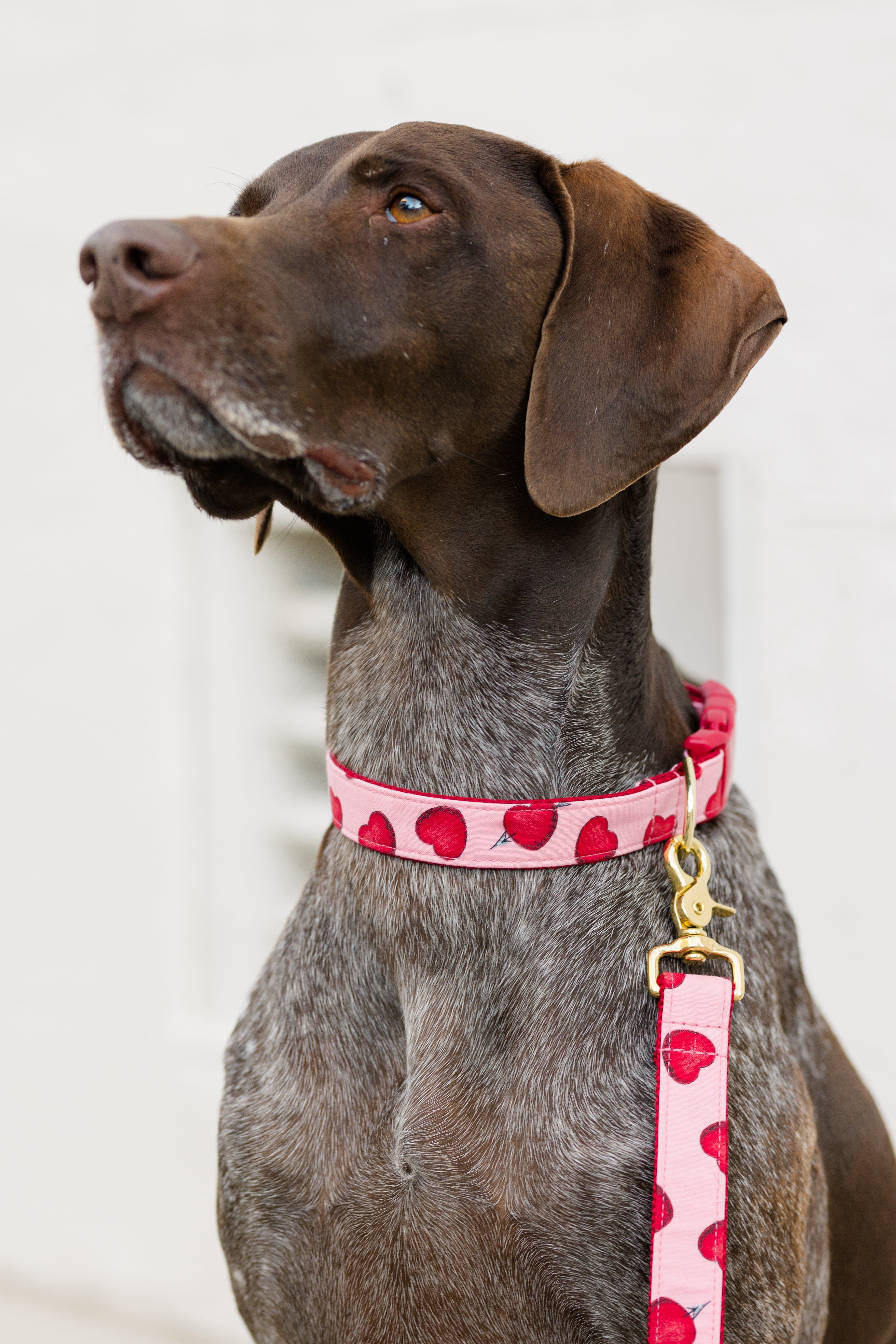 Valentine's Matching Leashes