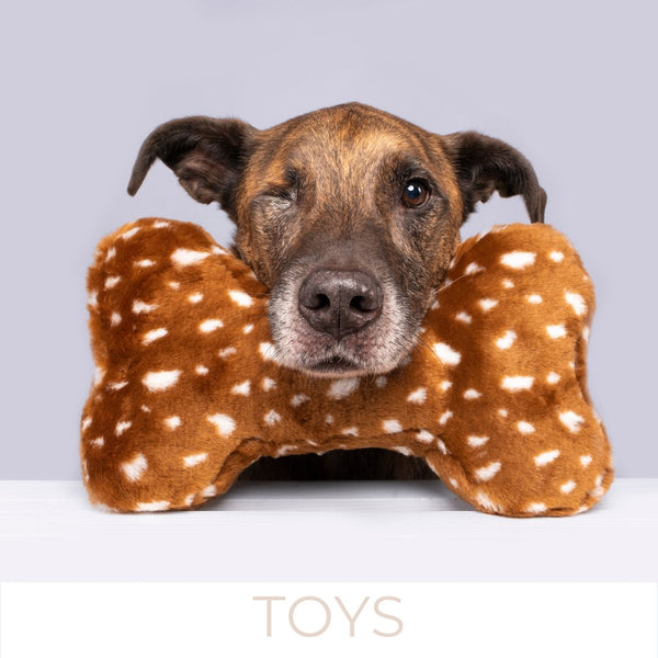 Dog Toys