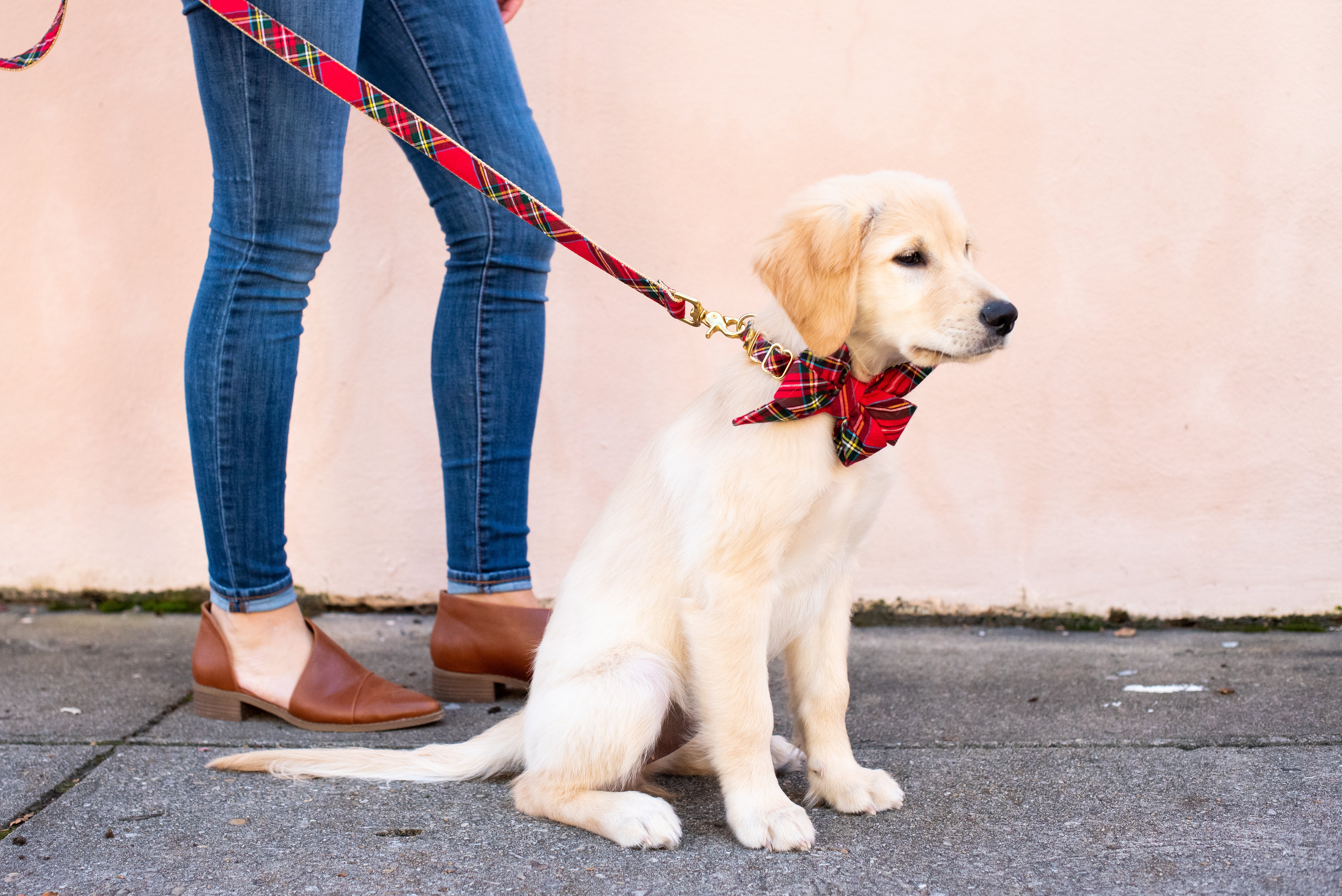 Red Holiday Scottish Tartan Dog Collar and Leash