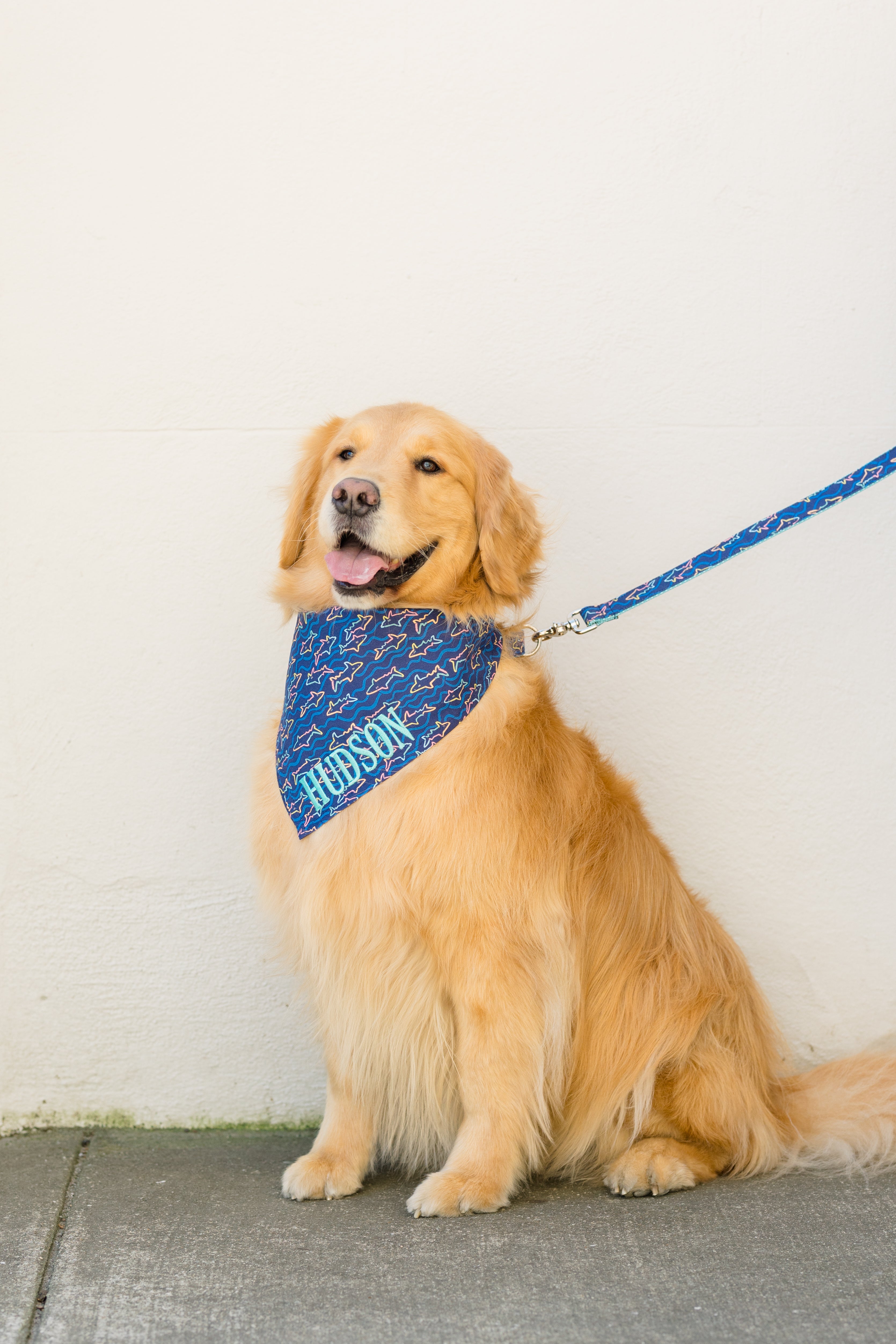 Fun Prints Dog Bandanas
