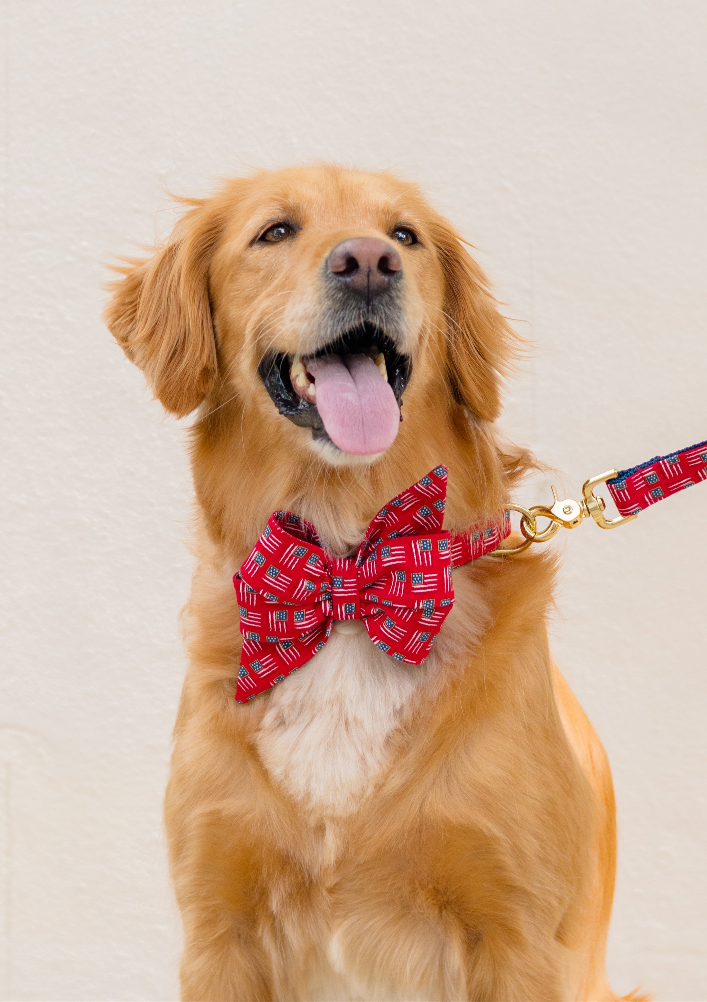 Freedom Flags Collection