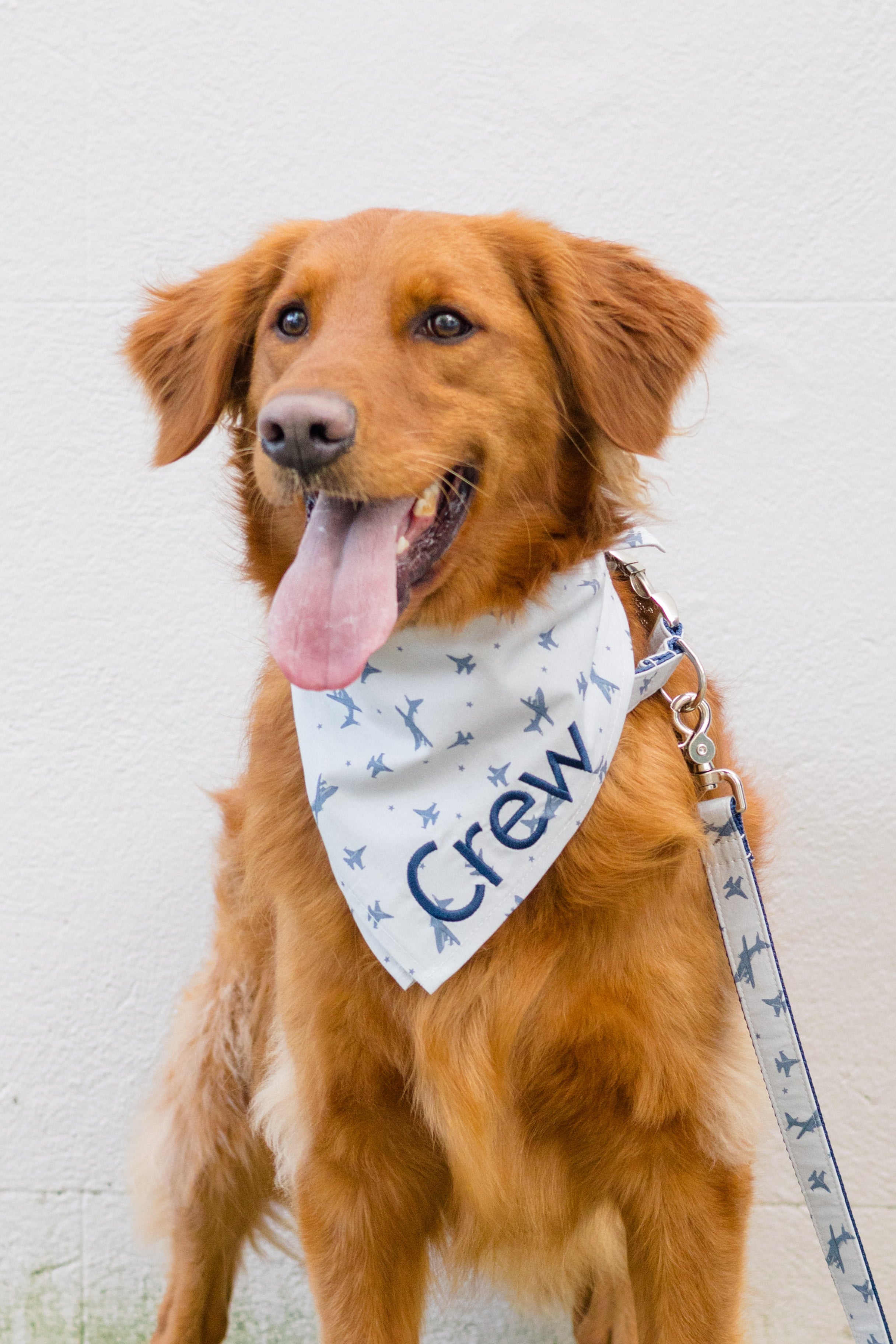 Flying High Collection