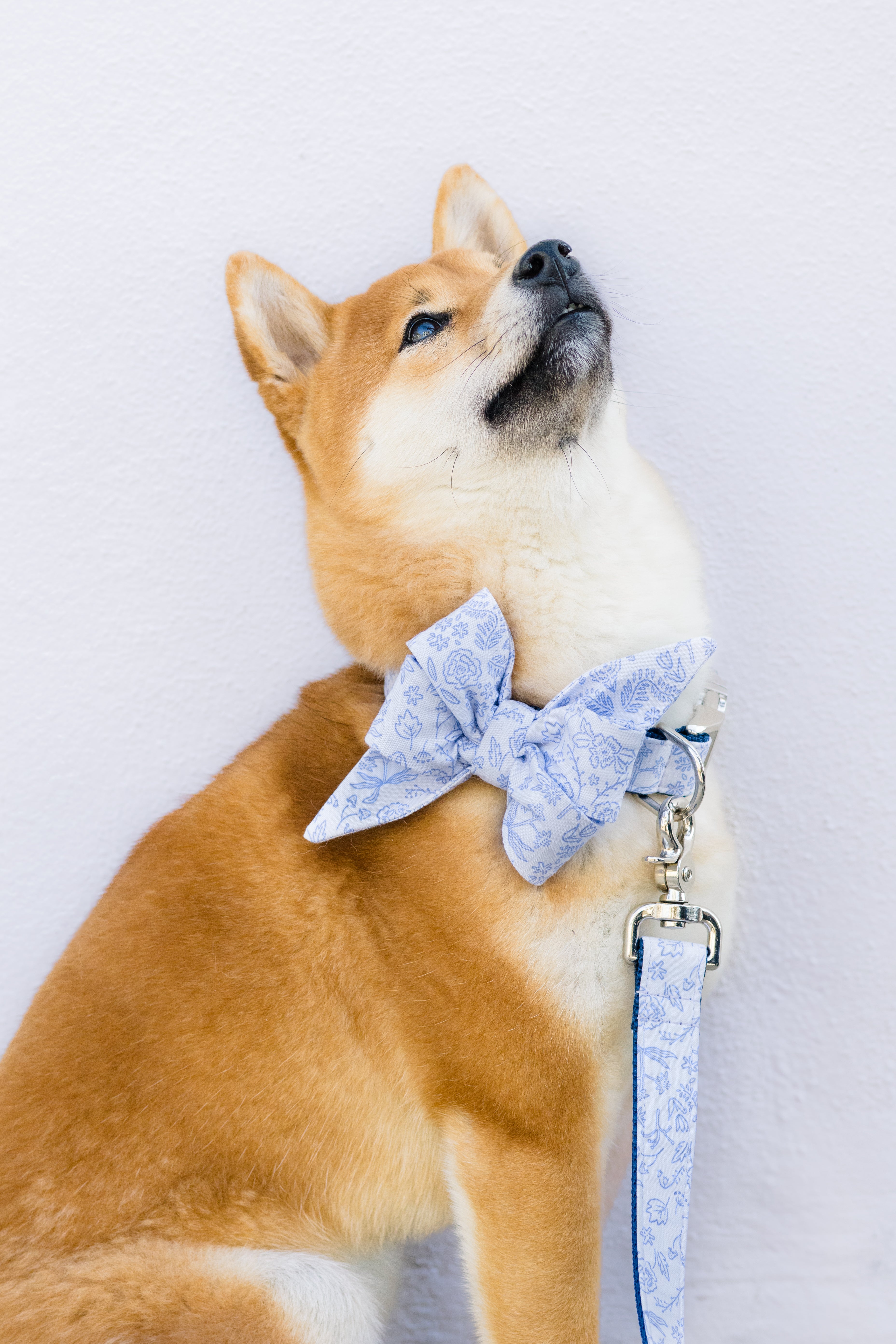 Twilight Stems Collection