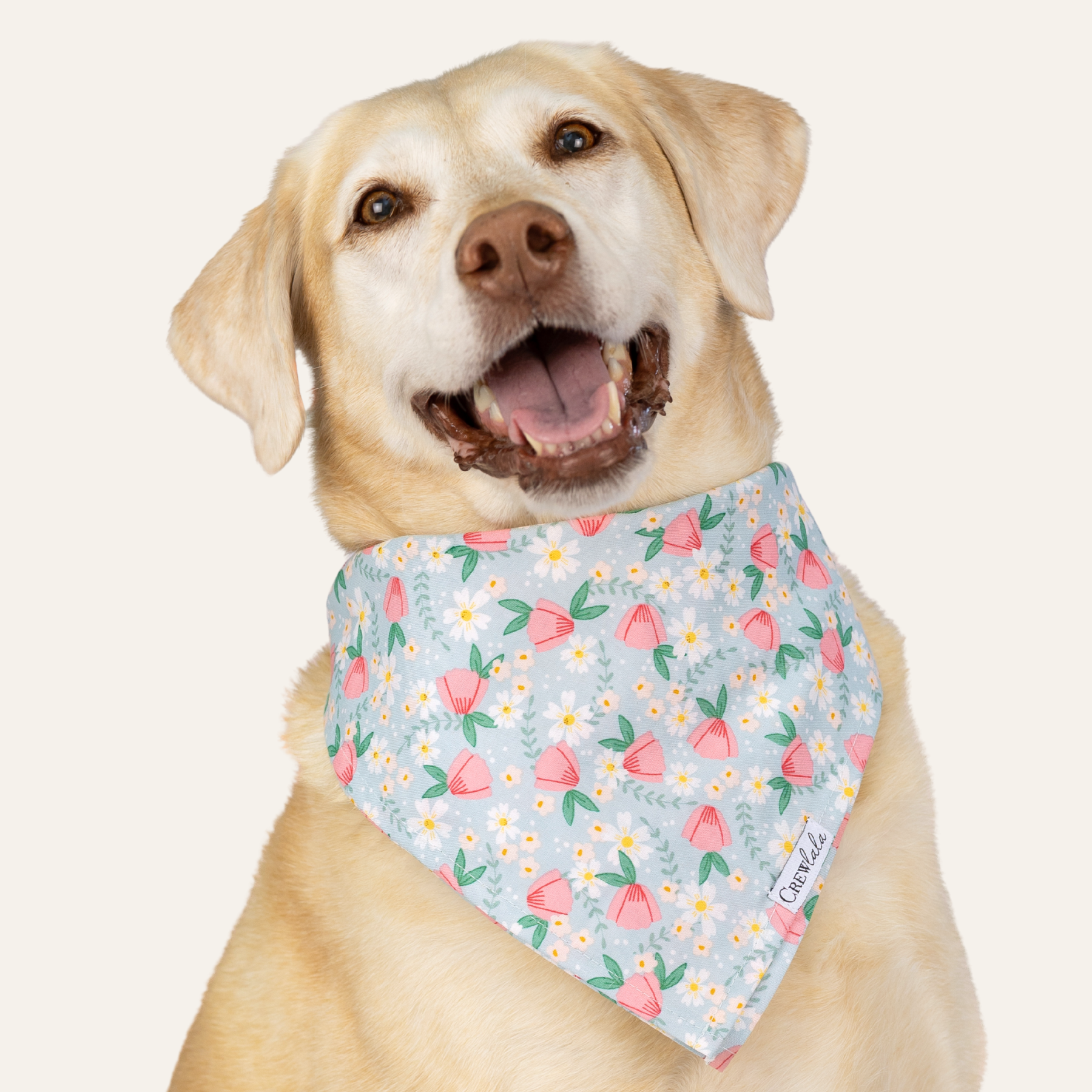New! Bandanas