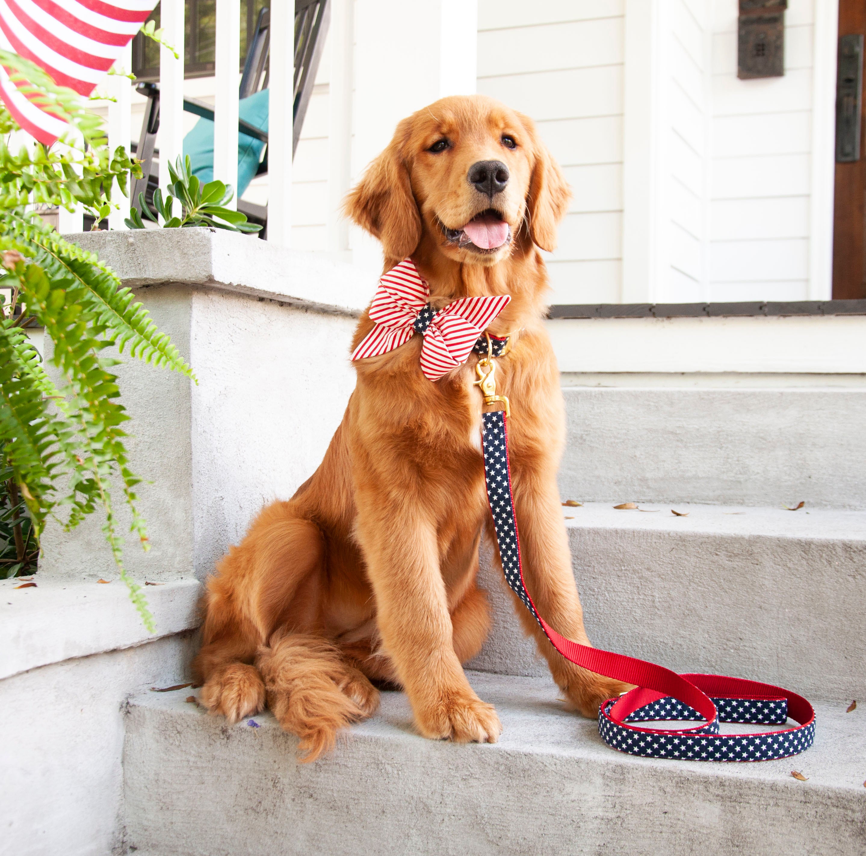 Patriotic Collection