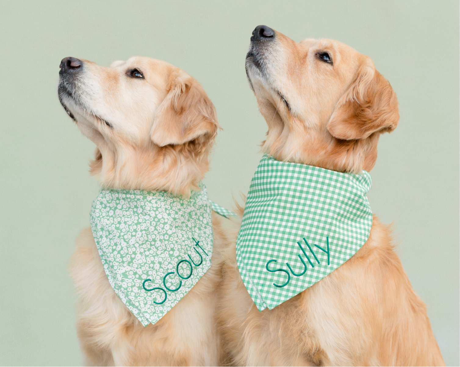 St. Patrick's Day Bandanas