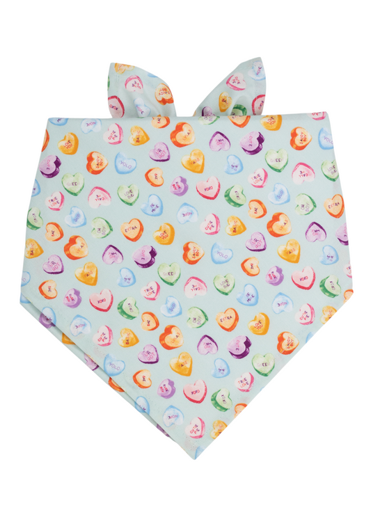 Sweet Talk Dog Bandana