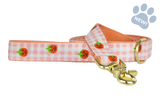 Pumpkin Gingham Dog Leash