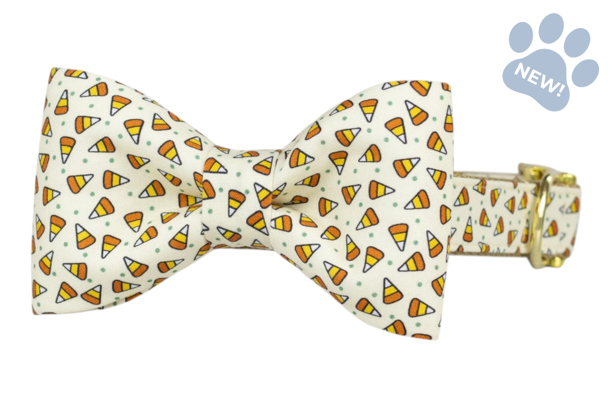 Candy Corns Bow Tie Collar