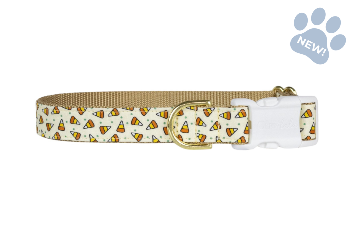 Candy Corns Bow Tie Collar