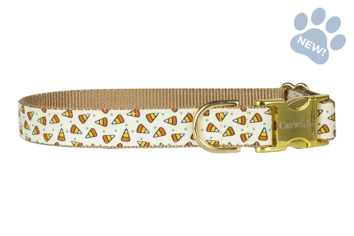 Candy Corns Bow Tie Collar