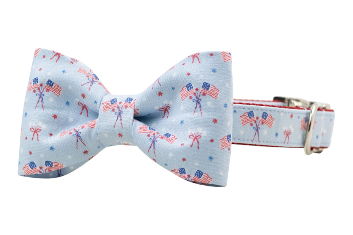 Patriotic Parade Bow Tie Collar
