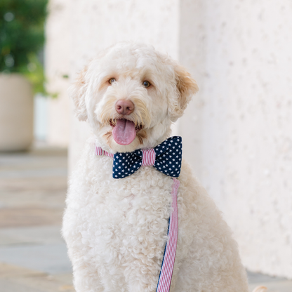 Patriot Bow Tie Dog Collar - Crew LaLa