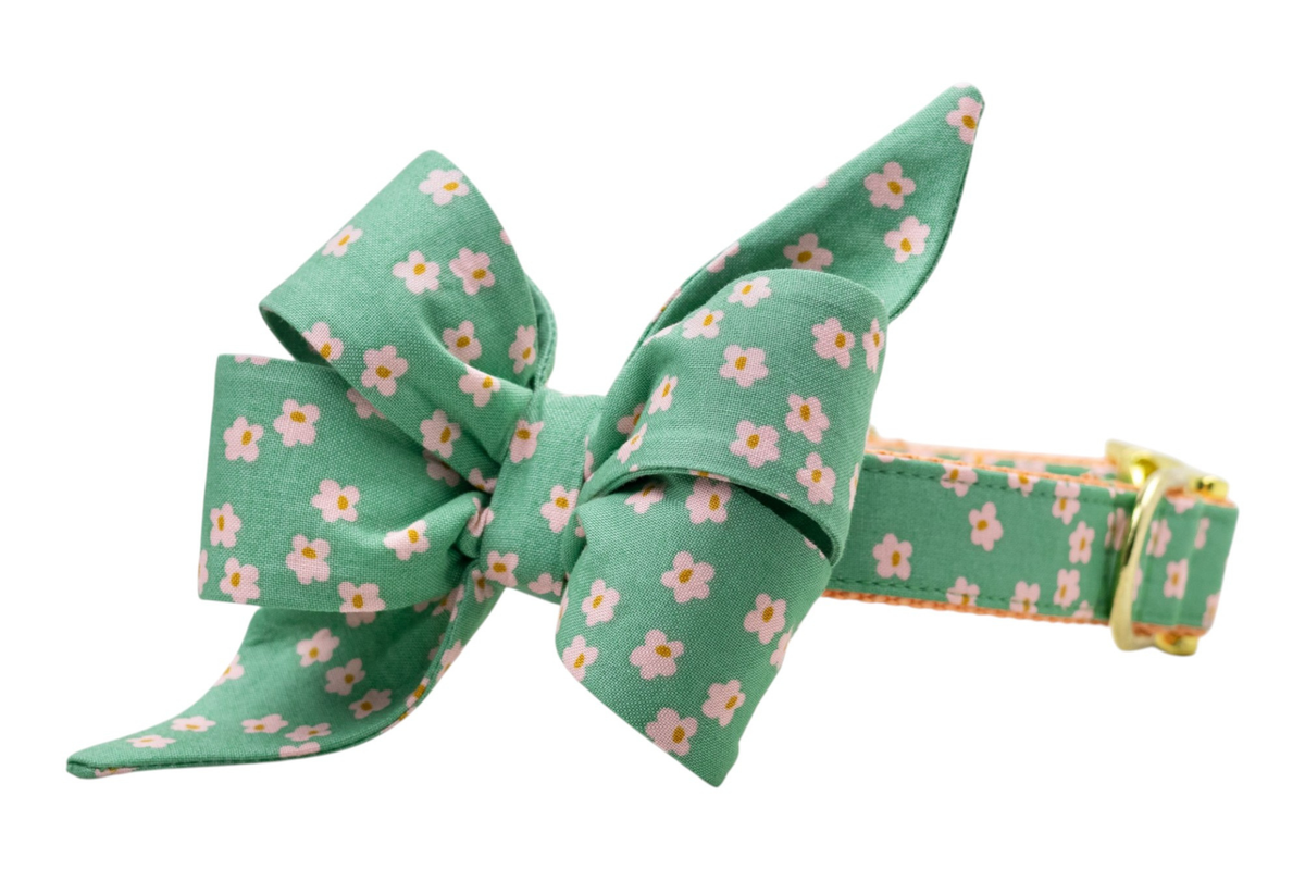 Glinda's Garden Belle Bow Collar