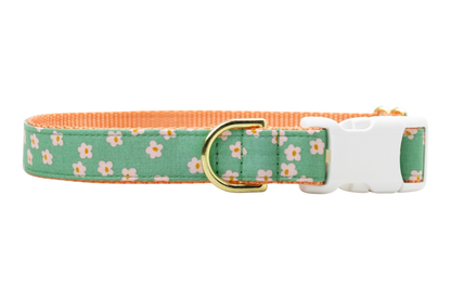 Glinda's Garden Dog Collar