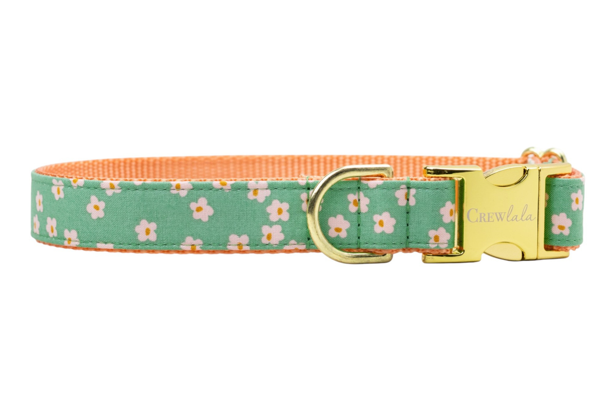 Glinda's Garden Dog Collar