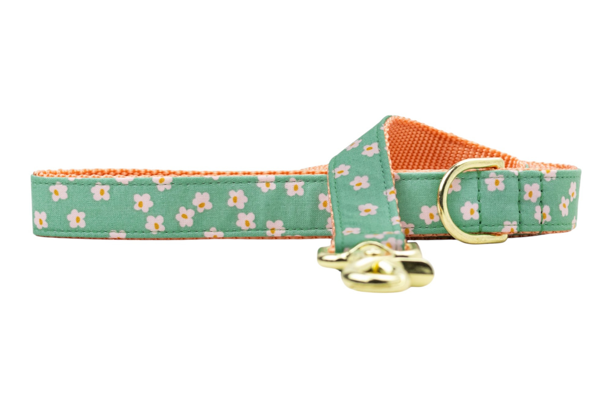 Glinda's Garden Dog Leash