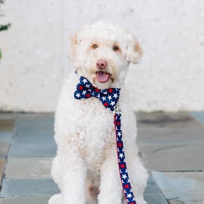 Patriotic Stars Bow Tie Dog Collar - Crew LaLa