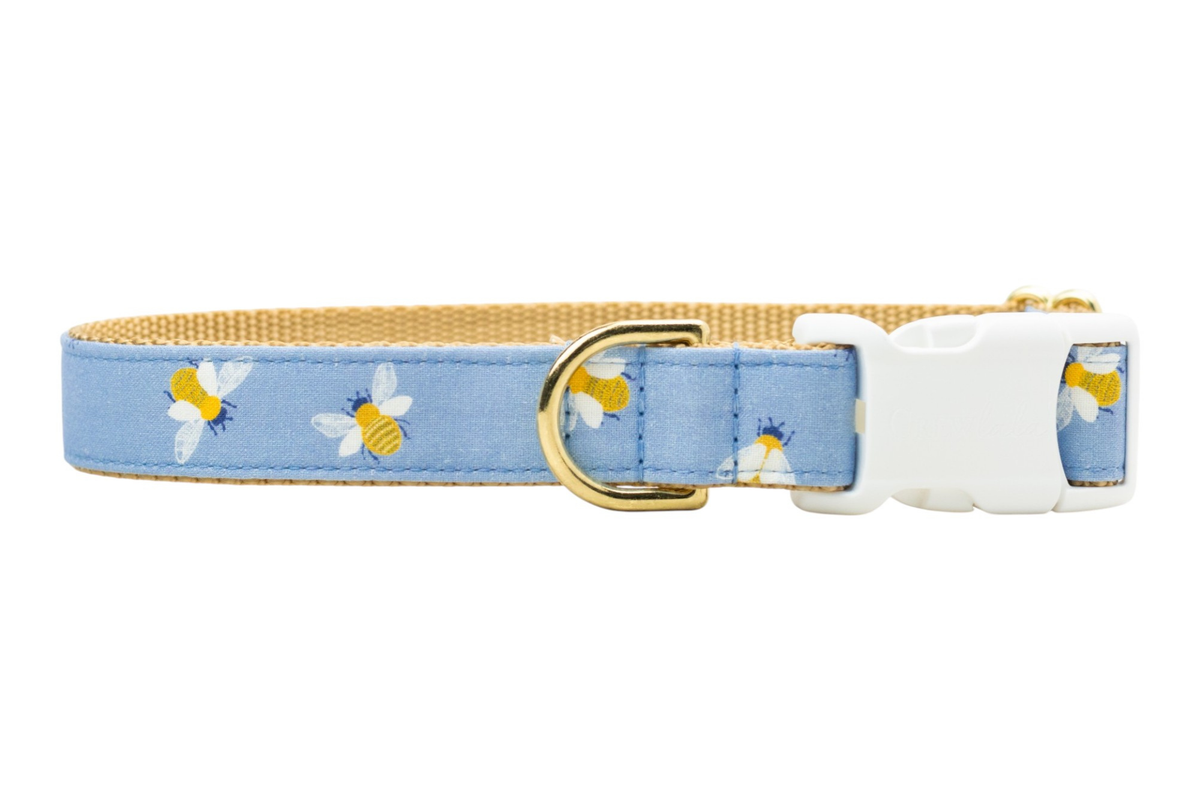 Busy Bee Dog Collar