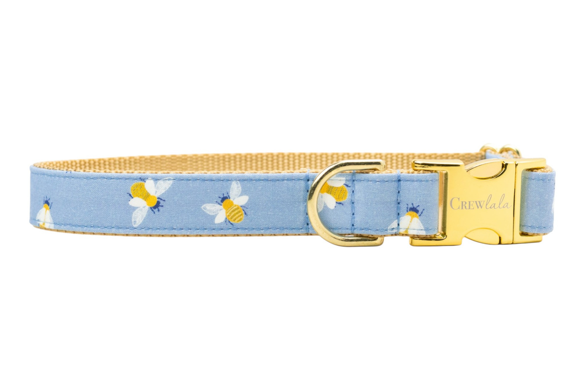 Busy Bee Dog Collar