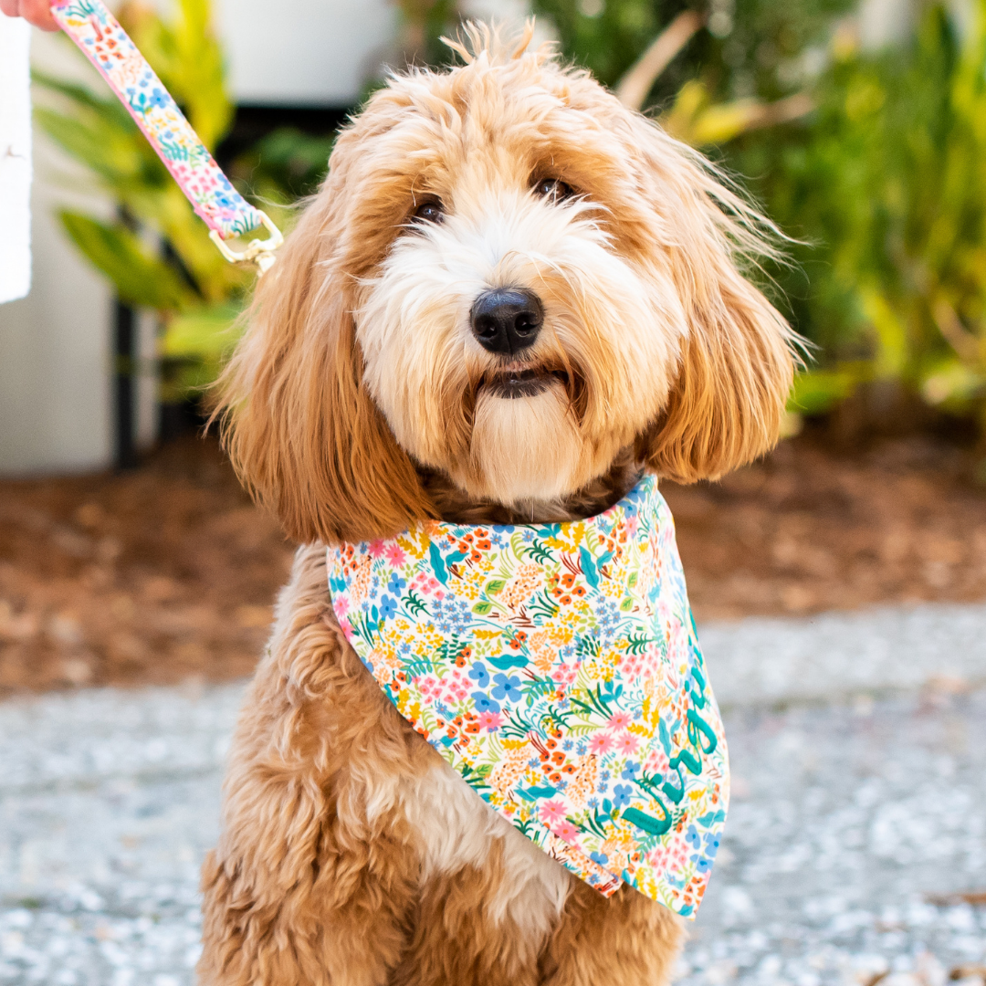 Ditsy Floral Dog Bandana - Crew LaLa