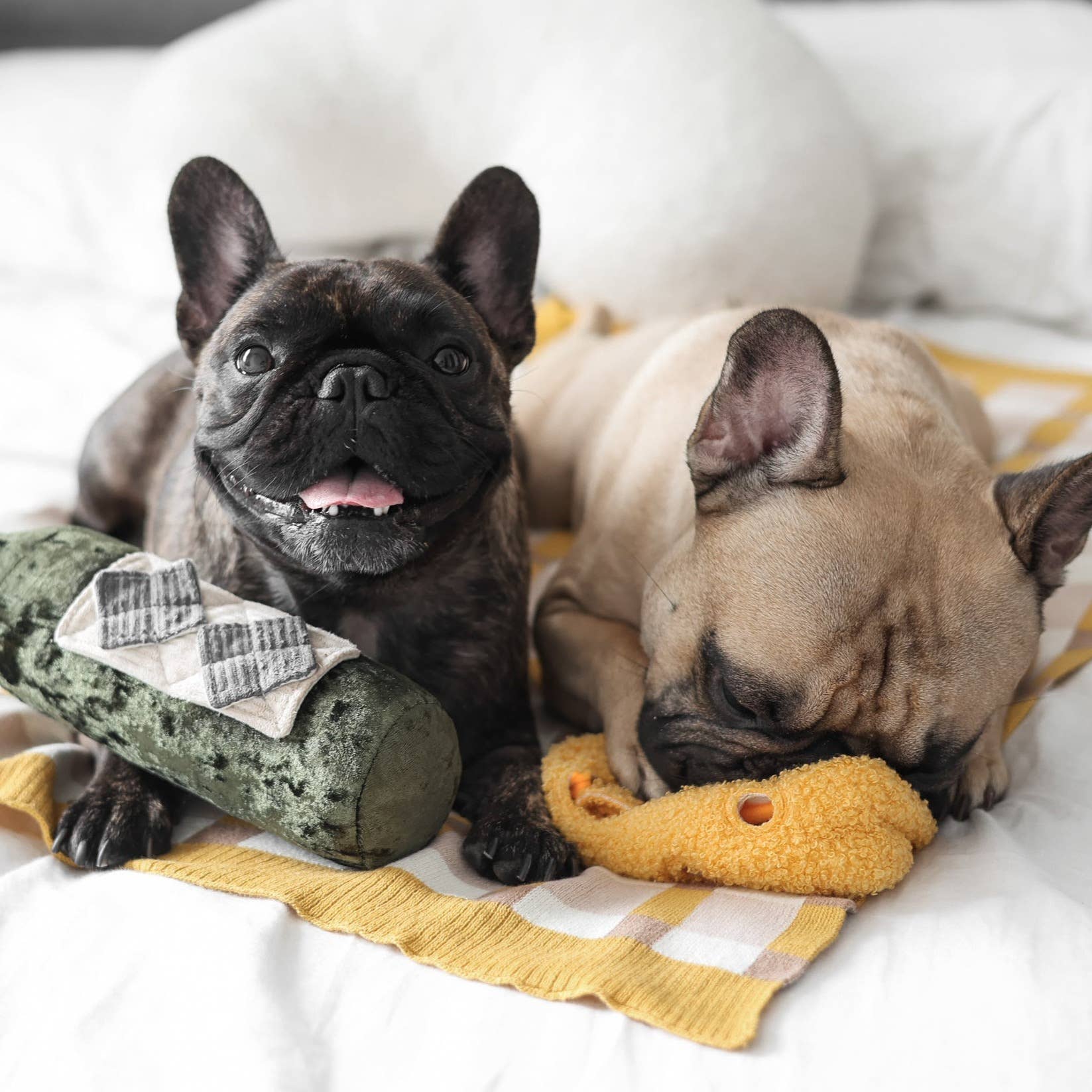 MERLOT // ENRICHMENT DOG TOY // SNUFFLE TOY - Crew LaLa