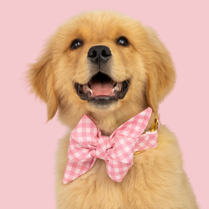 Blush and Bashful Picnic Plaid Belle Bow