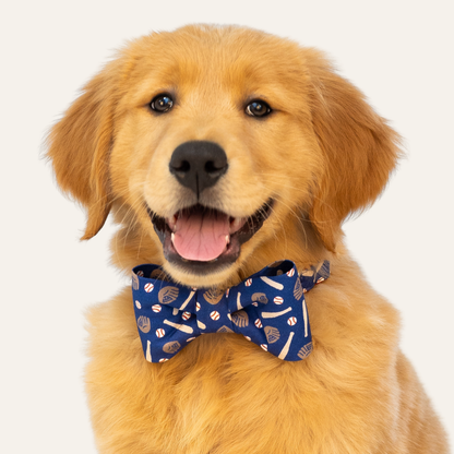 Play Ball Bow Tie Collar - Crew LaLa
