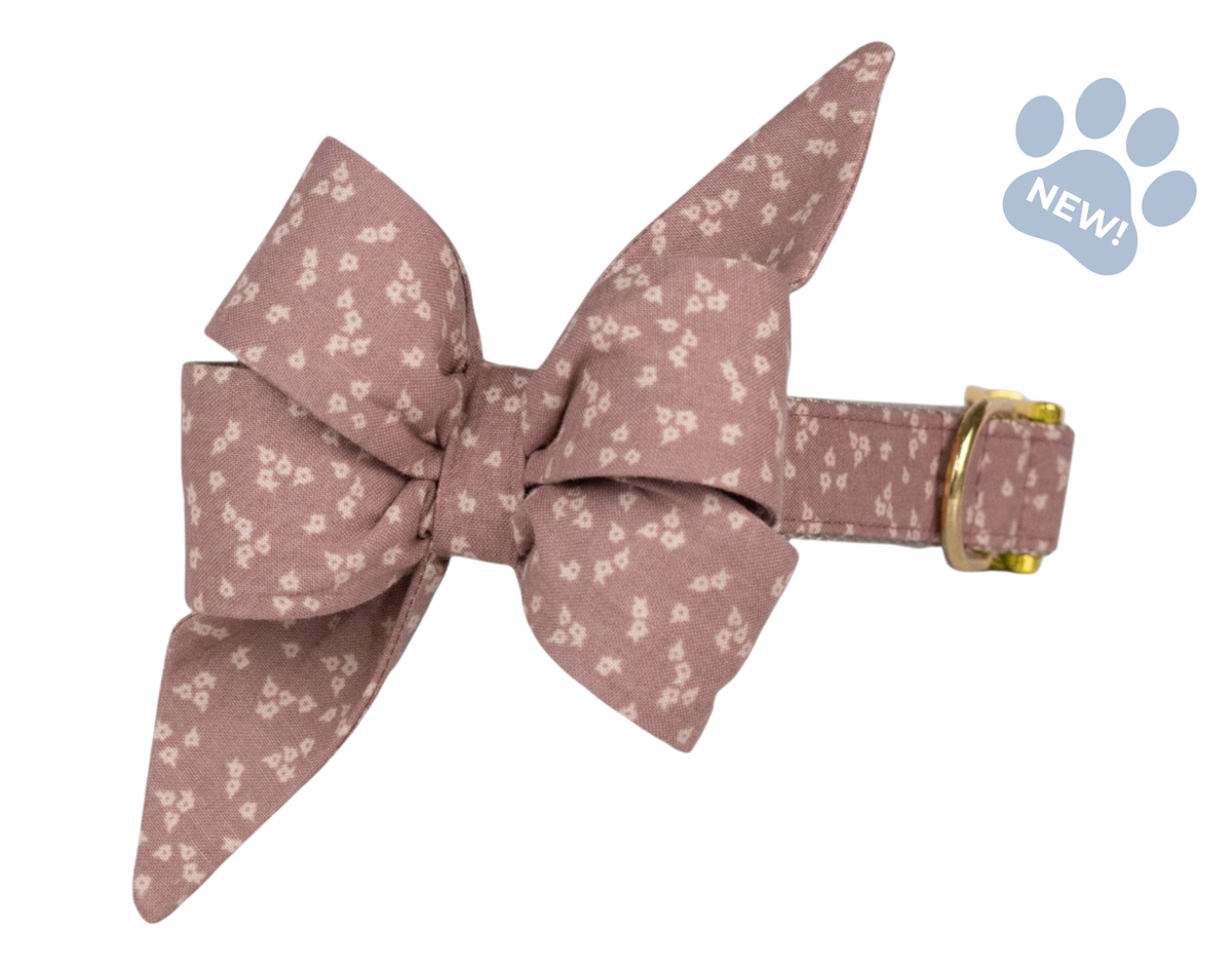 Precious Posey Belle Bow Collar