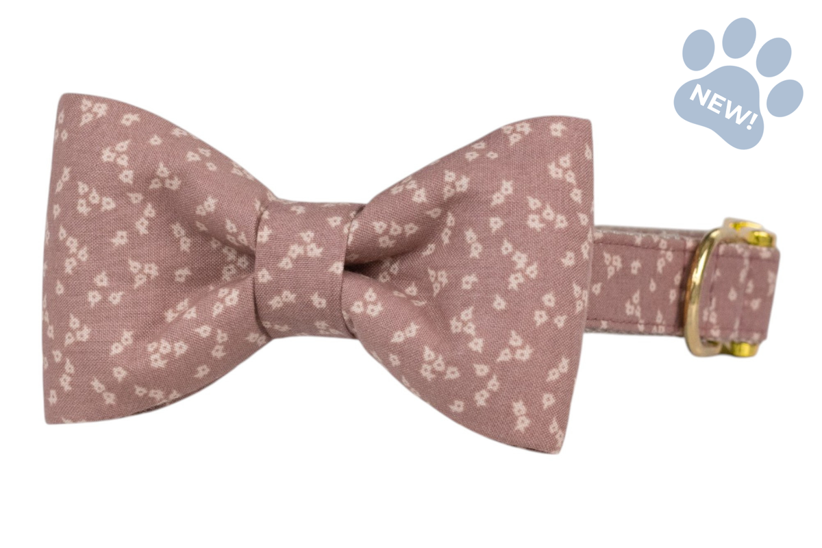 Precious Posey Bow Tie Collar