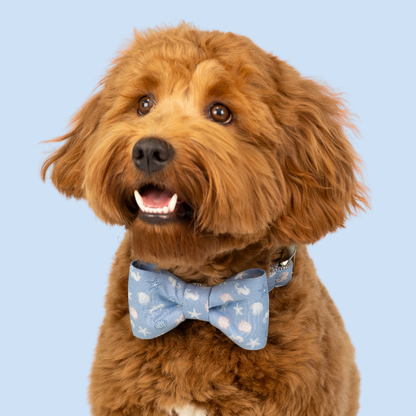 Blue Sea Shells Bow Tie Collar