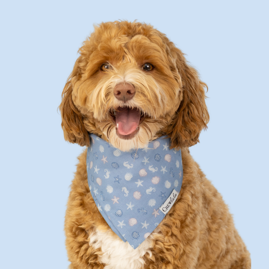 Blue Sea Shells Dog Bandana