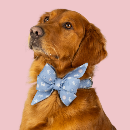Blue Sea Shells Belle Bow