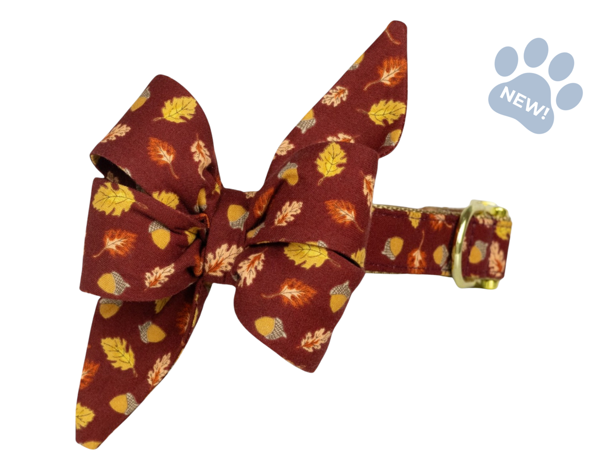 Falling For You Belle Bow Collar