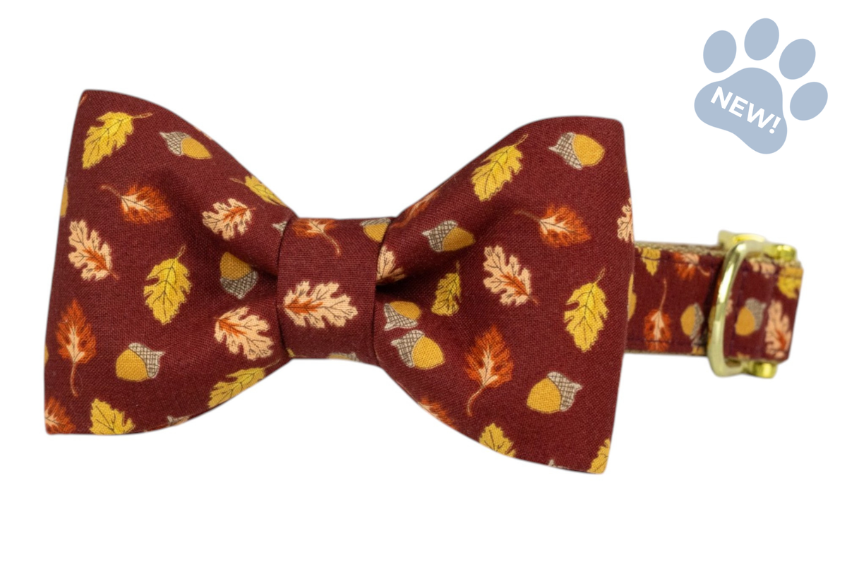 Falling For You Bow Tie Collar