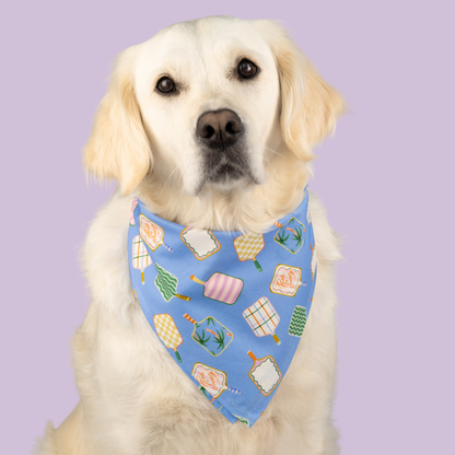 Pickle Paddles Dog Bandana