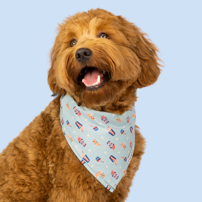 Summer Slush Dog Bandana